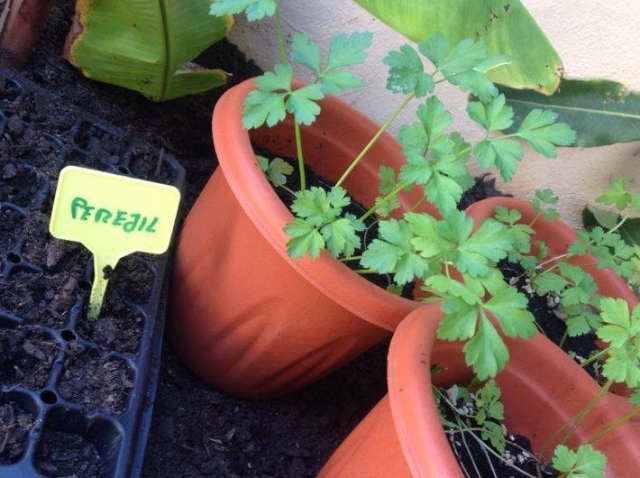 nuestra huerta